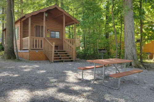 A cozy wooden cabin surrounded by trees, with a picnic table in front on a gravel area.