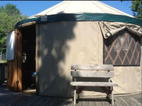 A yurt with a wooden bench in front, set on a deck surrounded by trees under a clear blue sky.