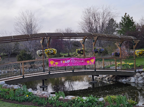 A wooden bridge over a pond, adorned with a banner for a tulip festival, surrounded by blooming flowers and trees.
