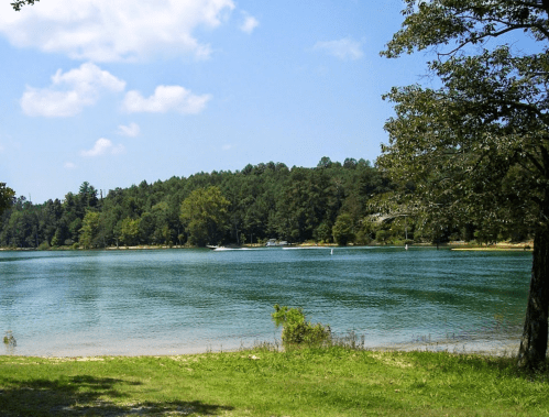 A serene lake surrounded by lush green trees under a clear blue sky, with boats gently gliding across the water.