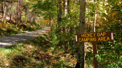 A sign for Hickey Gap Camping Area beside a gravel road, surrounded by trees in a colorful autumn setting.