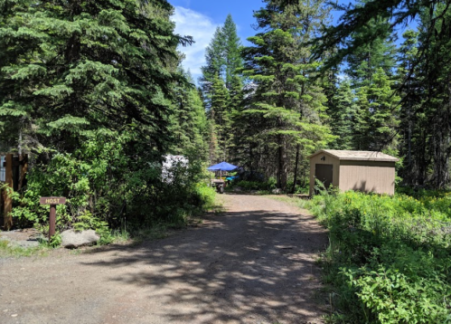 A dirt path leads through a forested area with a host sign, a shed, and a shaded seating area under an umbrella.