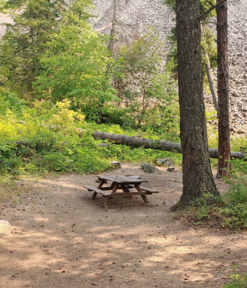 A picnic table surrounded by trees and greenery in a serene outdoor setting.
