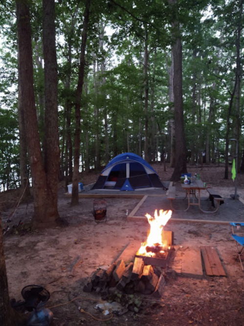 A campsite with a blue tent, a campfire, and trees surrounding a peaceful area by the water.