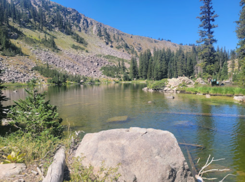 A serene mountain lake surrounded by trees and rocky hills under a clear blue sky.