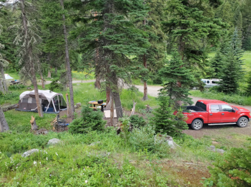 A red truck parked near a campsite with a tent and picnic area surrounded by tall trees and greenery.