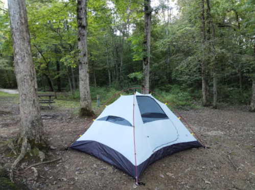 A tent set up in a wooded area, surrounded by trees and a picnic table in the background.