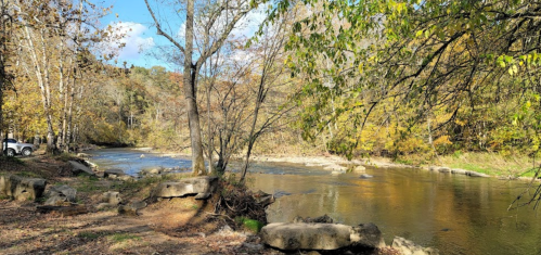 A serene river scene with trees and rocks, showcasing autumn foliage under a clear blue sky.
