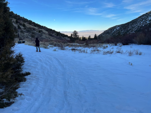 A person stands on a snowy path in a mountainous landscape, with trees and a clear blue sky in the background.