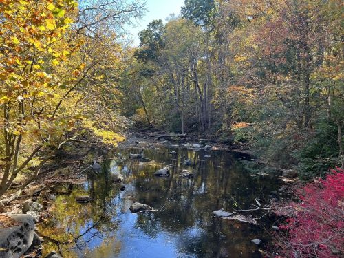 A serene river flows through a forest with vibrant autumn foliage and scattered rocks along the water's edge.