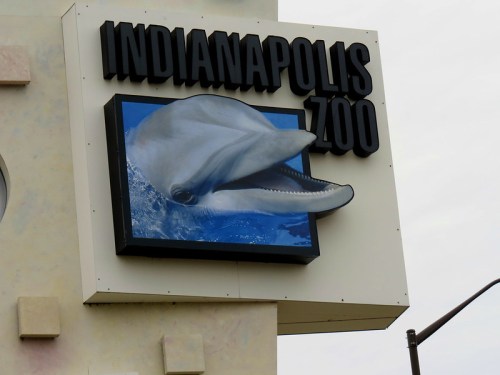 Sign for the Indianapolis Zoo featuring a large, 3D dolphin head emerging from water.
