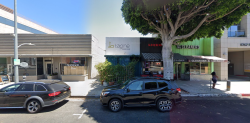 Street view featuring shops, a large tree, and parked cars in an urban setting.