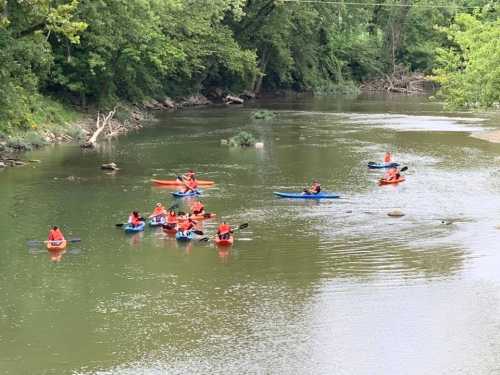 A group of people in kayaks paddles on a calm river surrounded by lush green trees.