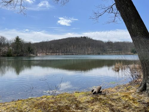 A serene lake surrounded by trees and a grassy shore under a clear blue sky with scattered clouds.