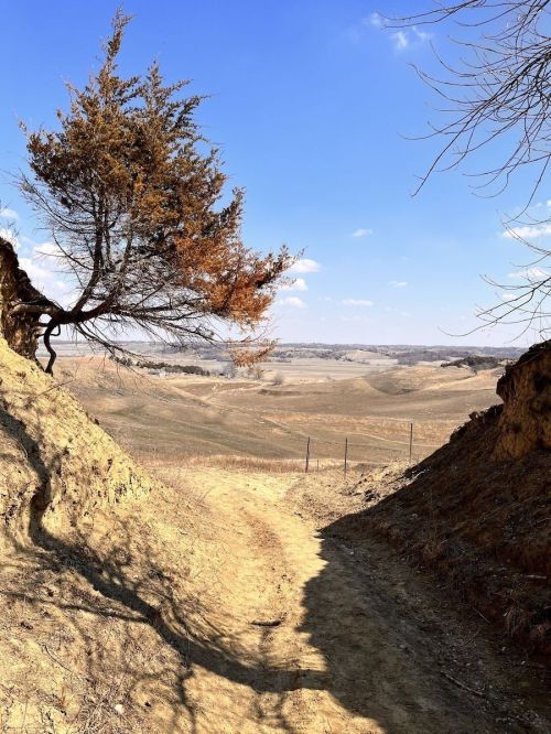A winding dirt path leads through a dry landscape, flanked by a tree and rolling hills under a blue sky.