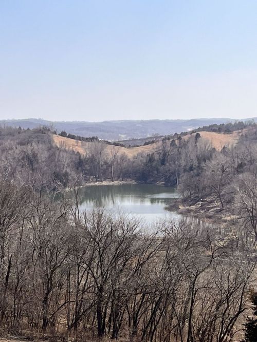A serene view of a lake surrounded by bare trees and rolling hills under a clear blue sky.