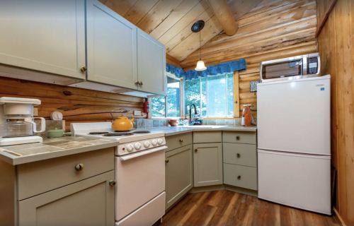 Cozy kitchen with wooden walls, light green cabinets, a stove, and a refrigerator, featuring natural light from a window.