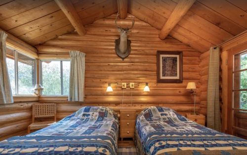 Cozy log cabin bedroom with two twin beds, wooden walls, and a deer head mounted on the wall. Natural light from windows.
