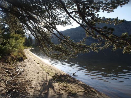 A serene lakeside scene with a sandy shore, trees, and mountains reflecting in the calm water under soft sunlight.