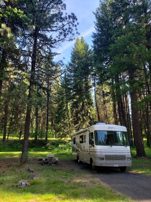 An RV parked in a lush, green forest surrounded by tall pine trees and a picnic table nearby.