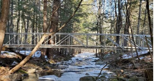 A metal bridge spans a frozen stream, surrounded by trees in a winter forest setting.