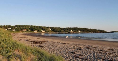 A serene beach scene with gentle waves, sandy shore, and a distant view of green hills and houses under a clear sky.