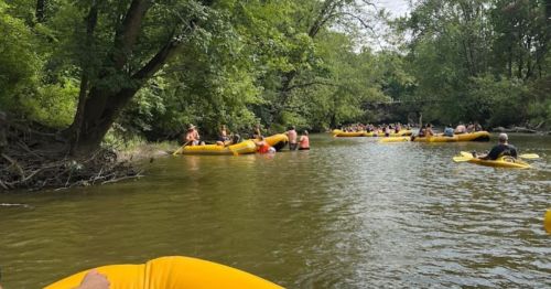 A group of people floating on yellow rafts in a lush, green river surrounded by trees on a sunny day.
