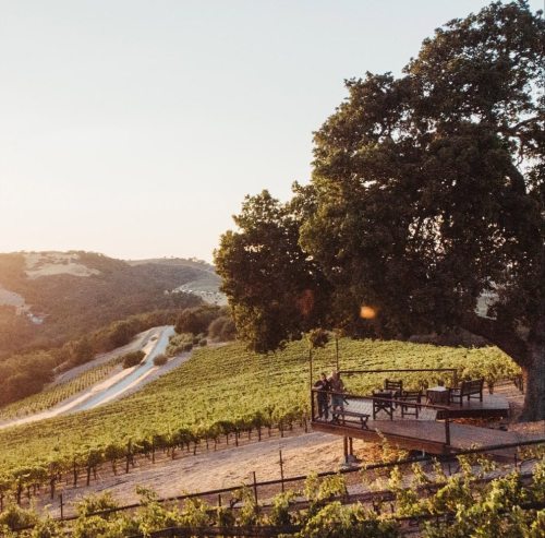A scenic vineyard at sunset, featuring a wooden deck with seating under a large tree and rolling hills in the background.