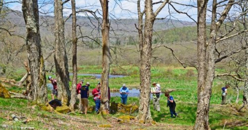 A group of people exploring a lush, green landscape with trees and a small pond in the background.