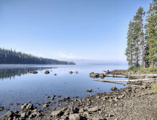 Serene lake scene with calm water, rocky shore, and tall trees under a clear blue sky.