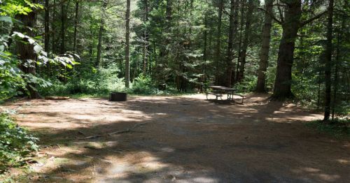 A secluded campsite in a forest, featuring a picnic table and a fire pit surrounded by tall trees and pine needles.