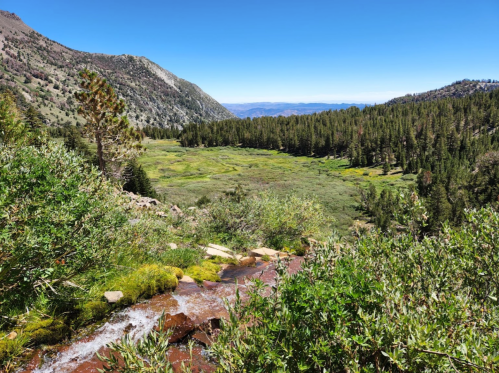 A scenic view of a lush green valley surrounded by mountains and trees under a clear blue sky.