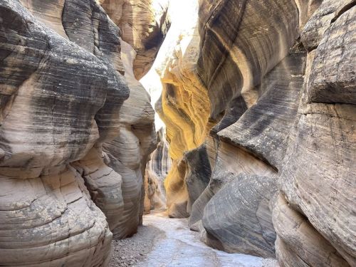 Narrow canyon with smooth, layered rock walls and a sandy path, illuminated by sunlight from above.