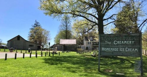 A sunny farm scene featuring a creamery sign, green grass, trees, and rustic buildings. Perfect for homemade ice cream.