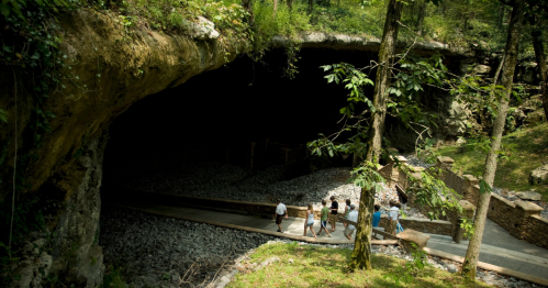 A group of people walking along a path leading to a dark cave entrance surrounded by lush greenery.