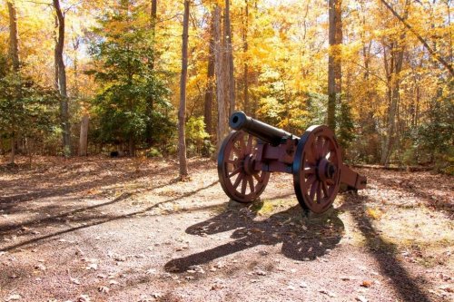 A historic cannon positioned in a forest with vibrant autumn foliage and fallen leaves on the ground.