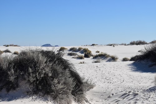 A sandy desert landscape with sparse vegetation and distant hills under a clear blue sky.