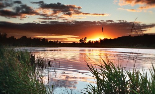Sunset over a calm river, with reflections on the water and silhouettes of trees and grass in the foreground.