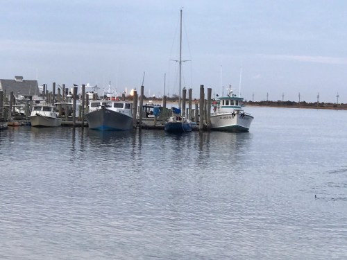 Boats docked at a marina with calm water and a cloudy sky in the background.
