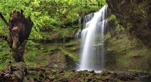 A serene waterfall cascades over mossy rocks, surrounded by lush green trees and foliage.