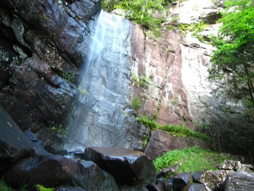 A serene waterfall cascading down rocky cliffs, surrounded by lush greenery and moss-covered stones.