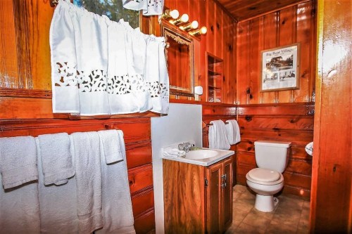 Cozy bathroom with wooden walls, a sink, toilet, and white towels hanging. Natural light from a window.