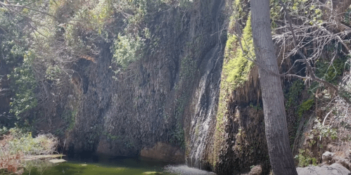 A serene waterfall cascading down a moss-covered rock face into a tranquil pool, surrounded by lush greenery.