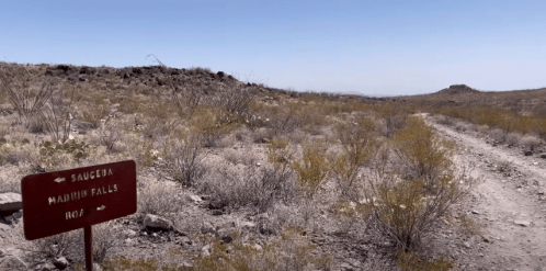 A dirt path in a desert landscape with a sign pointing to Sauceda and Mariah Falls. Sparse vegetation surrounds the area.