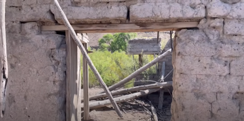 View through a weathered doorway of a dilapidated structure, with wooden beams and greenery visible outside.