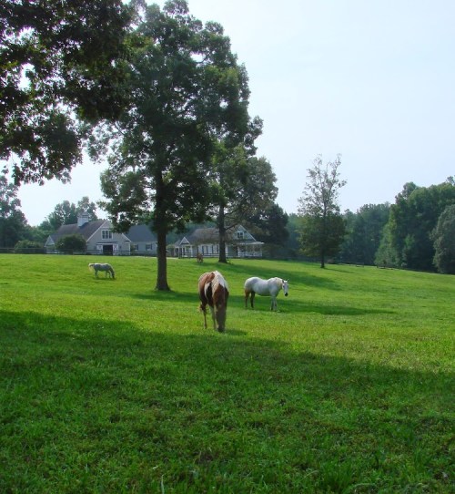 A serene landscape featuring horses grazing on green grass near a large house and trees under a clear sky.