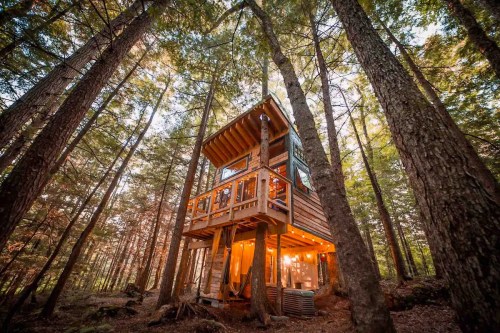 A cozy treehouse nestled among tall trees, featuring a wooden deck and warm lights glowing inside.