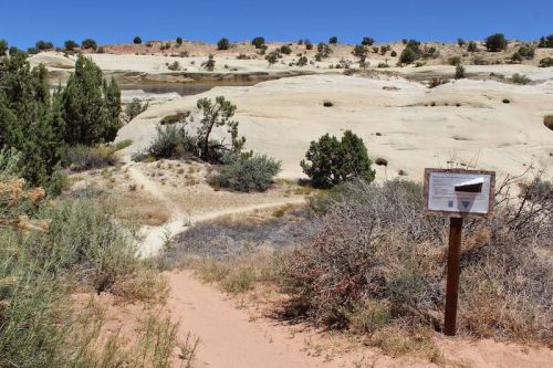 A sandy path leads through shrubs and trees to a rocky landscape with a sign in the foreground under a clear blue sky.