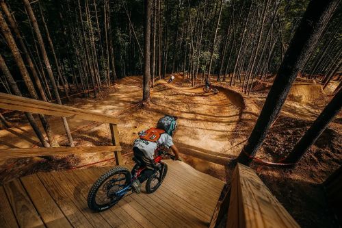 A young cyclist descends wooden steps into a forested bike trail, surrounded by tall trees and dirt paths.