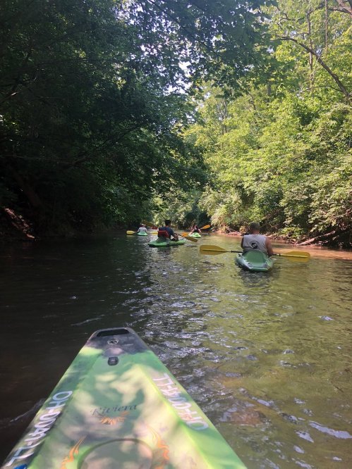 A group of kayakers paddles down a serene, tree-lined river on a sunny day.